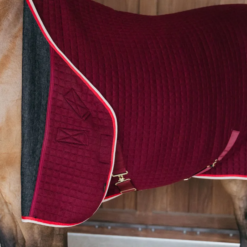 Kentucky PROTherm Cooler Rug - Bordeaux-4