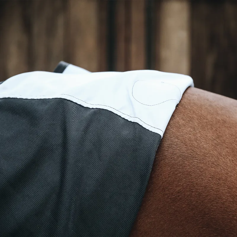 Kentucky Recuptex Magnetic Rug - Navy-5