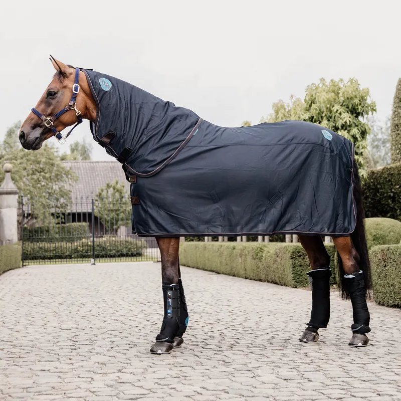 Kentucky Recuptex Magnetic Rug - Navy-3