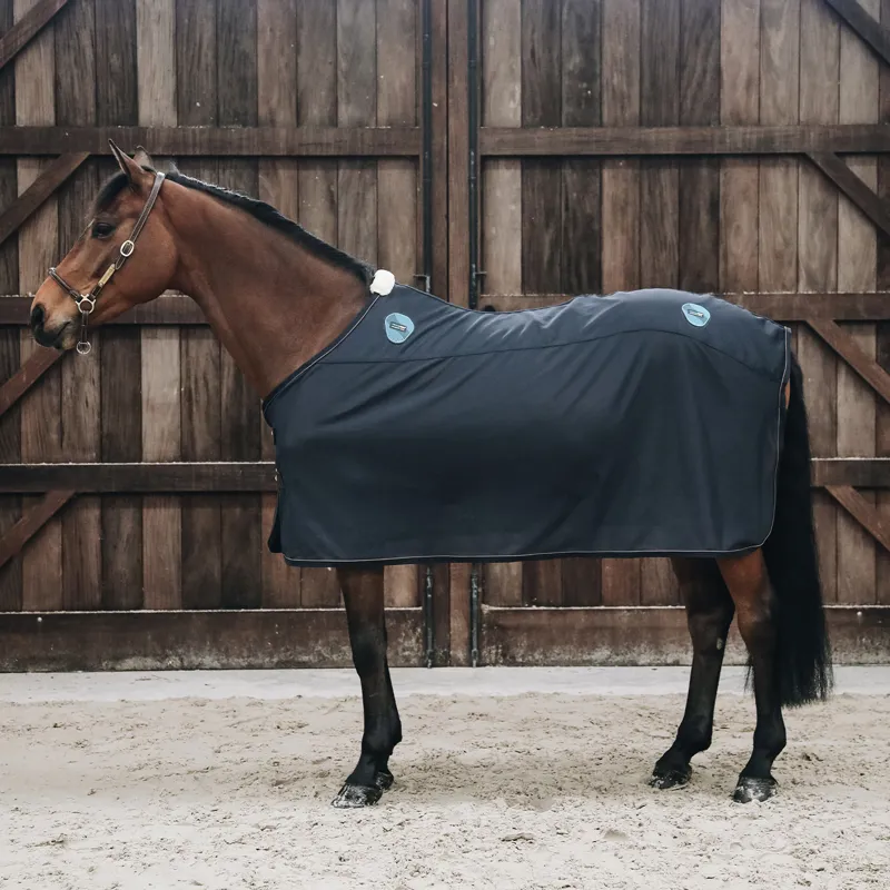 Kentucky Recuptex Magnetic Rug - Navy