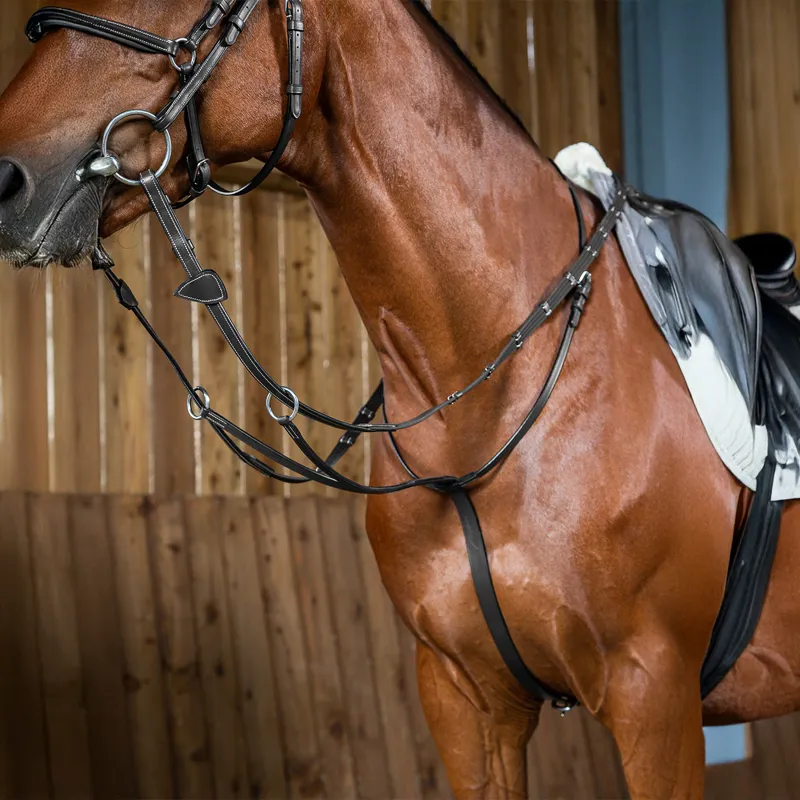 Dy'on Working Collection Running Martingale - Black