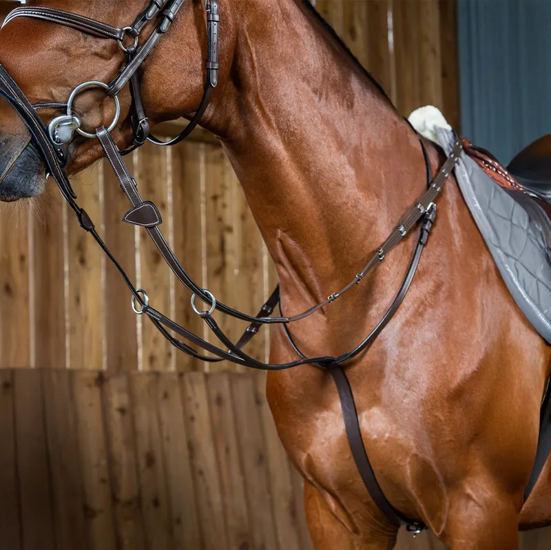 Dy'on Working Collection Running Martingale - Brown