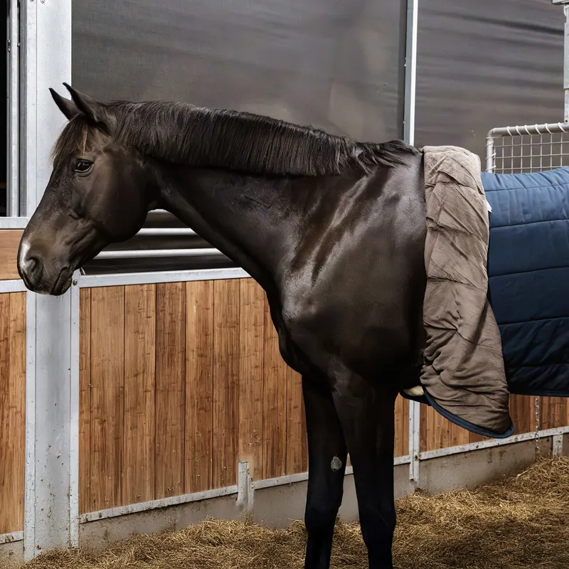 Kentucky Sheepskin Nylon Walker Girth - Black-4