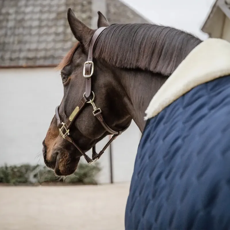 Kentucky 200g Comfort Stable Rug - Navy-7