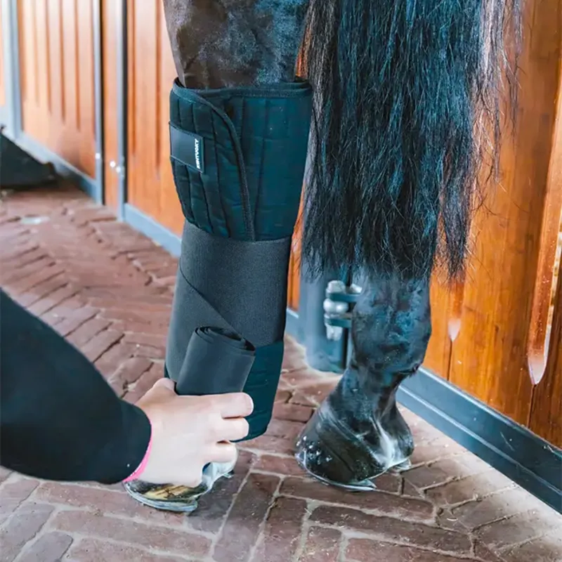 Kentucky Stable Bandage Pads - Black