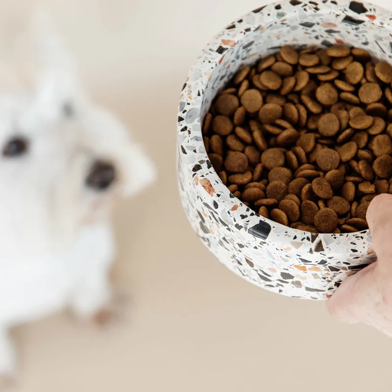 Kentucky Stone Terrazzo Dog Bowl - White-2