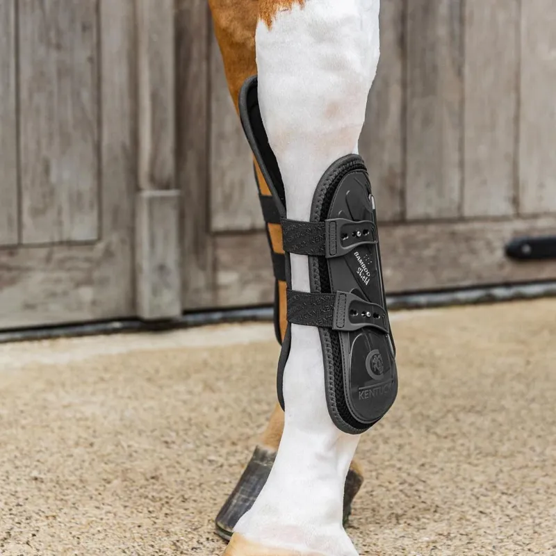 Kentucky Elastic Knee Protection Tendon Boots - Black-6