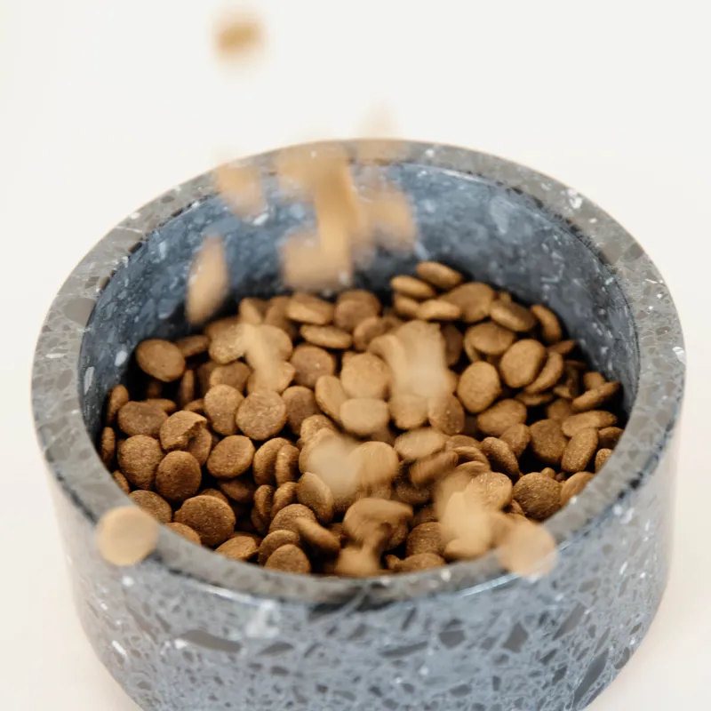 Kentucky Stone Terrazzo Dog Bowl - Black-6
