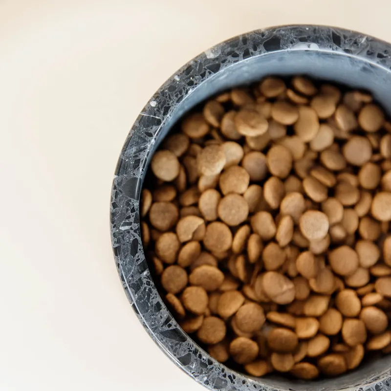 Kentucky Stone Terrazzo Dog Bowl - Black-5