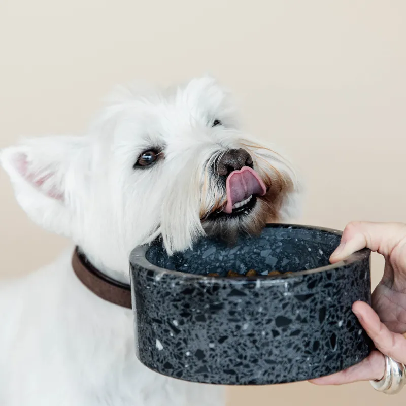 Kentucky Stone Terrazzo Dog Bowl - Black-4