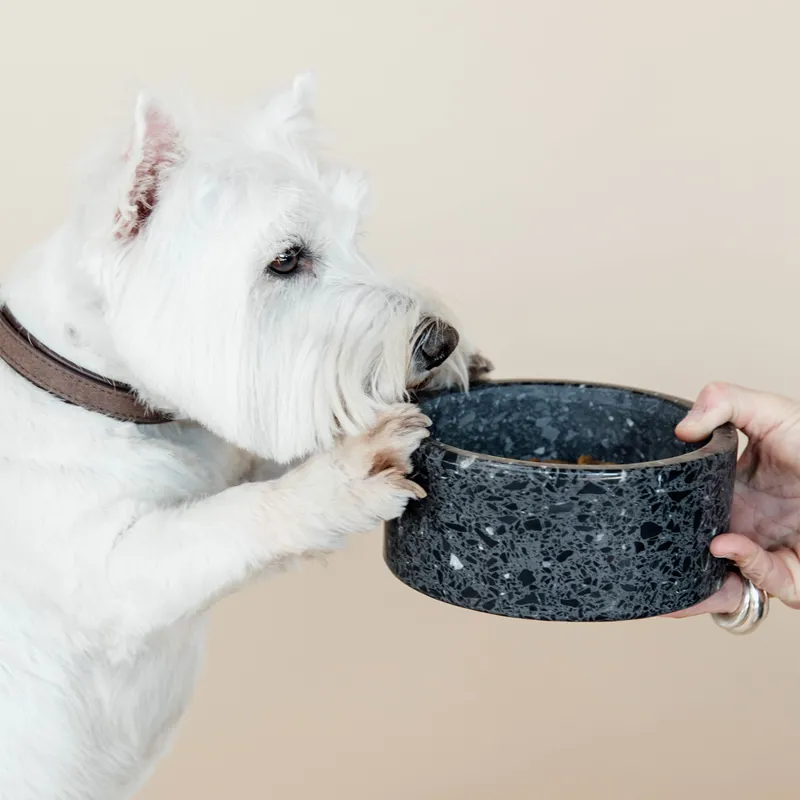 Kentucky Stone Terrazzo Dog Bowl - Black-3