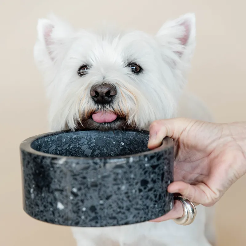 Kentucky Stone Terrazzo Dog Bowl - Black-2