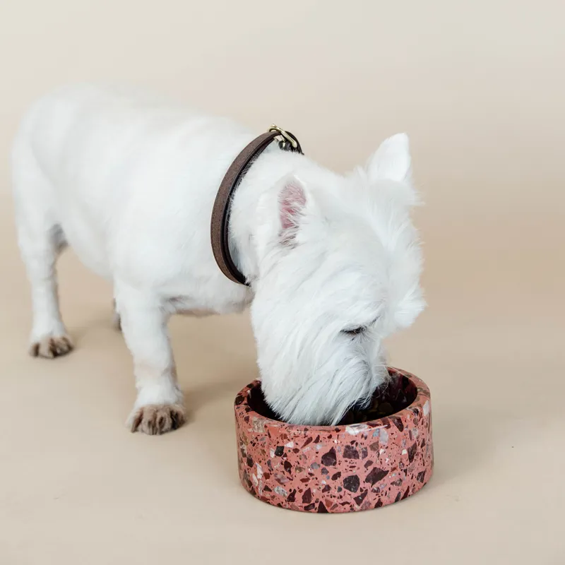 Kentucky Stone Terrazzo Dog Bowl - Brown-4