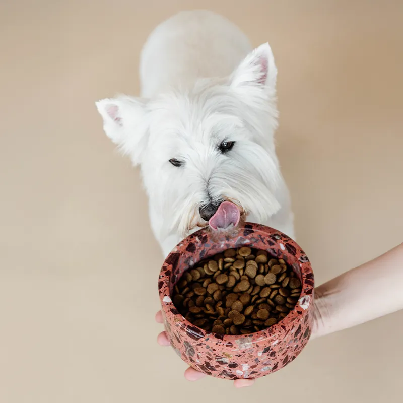 Kentucky Stone Terrazzo Dog Bowl - Brown-2
