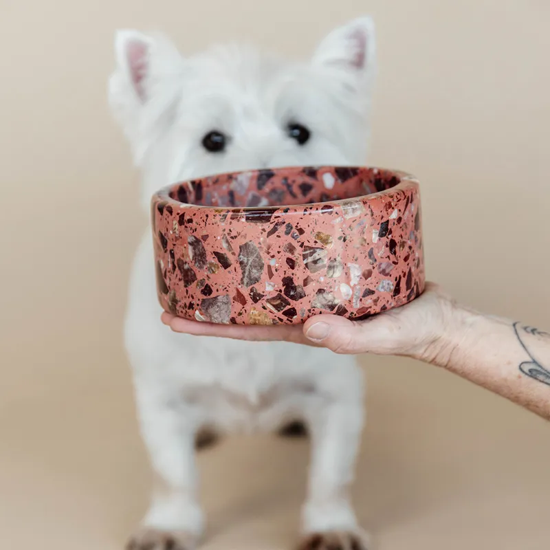 Kentucky Stone Terrazzo Dog Bowl - Brown-3