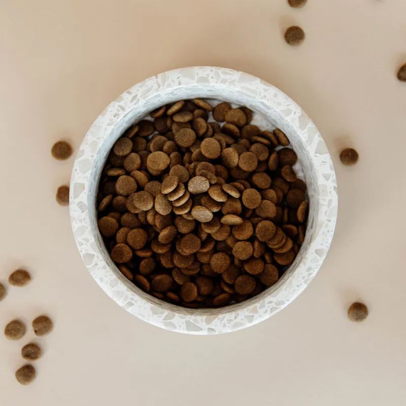 Kentucky Stone Terrazzo Dog Bowl - Beige-2