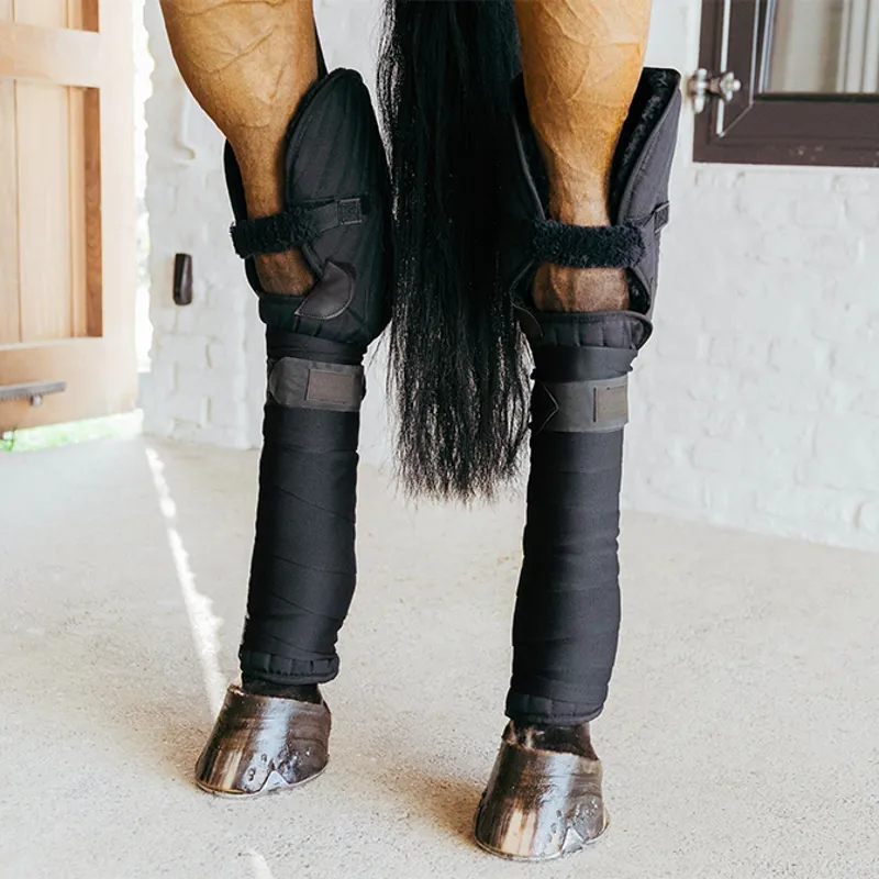 Kentucky Travel Bandage Pad Boots with Hock Protection - Black-4