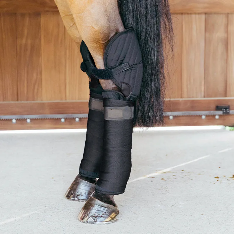 Kentucky Travel Bandage Pad Boots with Hock Protection - Black