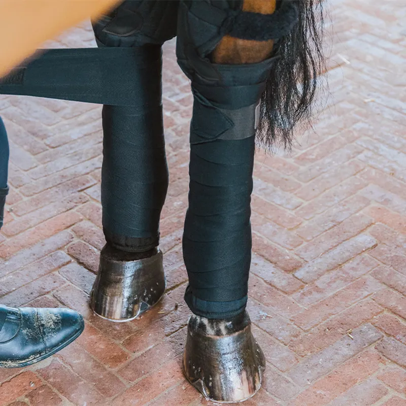 Kentucky Travel Bandage Pad Boots with Hock Protection - Black-6