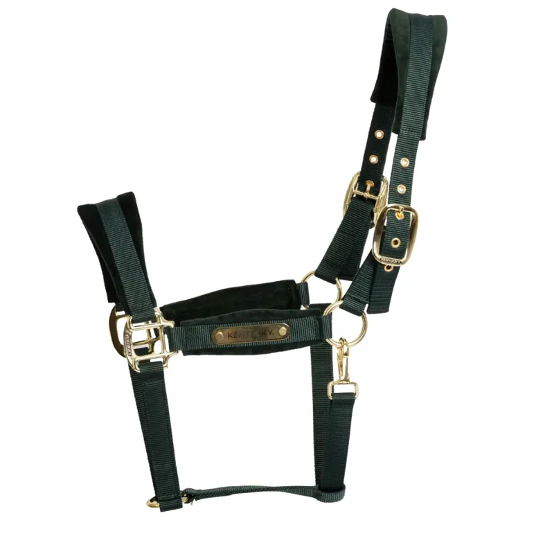 Kentucky Velvet Headcollar - Pine Green-1
