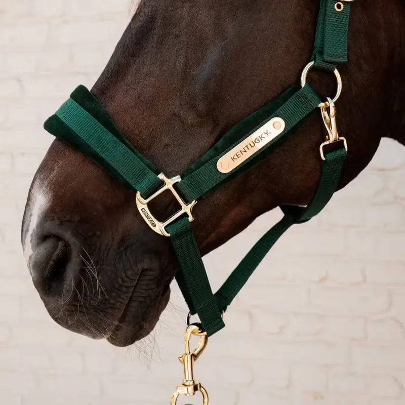Kentucky Velvet Headcollar - Pine Green-2
