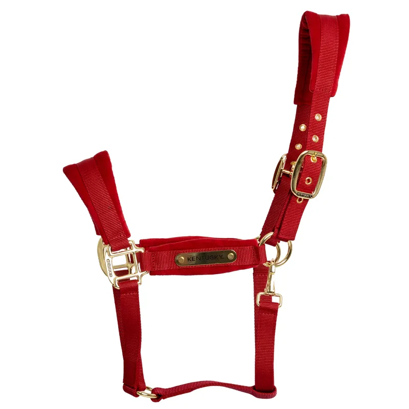 Kentucky Velvet Headcollar - Red-1