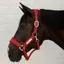 Kentucky Velvet Headcollar - Red