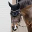 Kentucky Wellington 3D Logo Soundless Fly Veil - Black