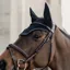 Kentucky Wellington Glitter Stone Soundless Fly Veil - Black