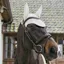Kentucky Wellington Plaited Cord Soundless Ear Fly Veil - Beige