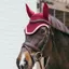 Kentucky Wellington Plaited Cord Soundless Ear Fly Veil - Bordeaux