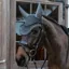 Kentucky Wellington Stone/Pearl Fly Veil - Grey