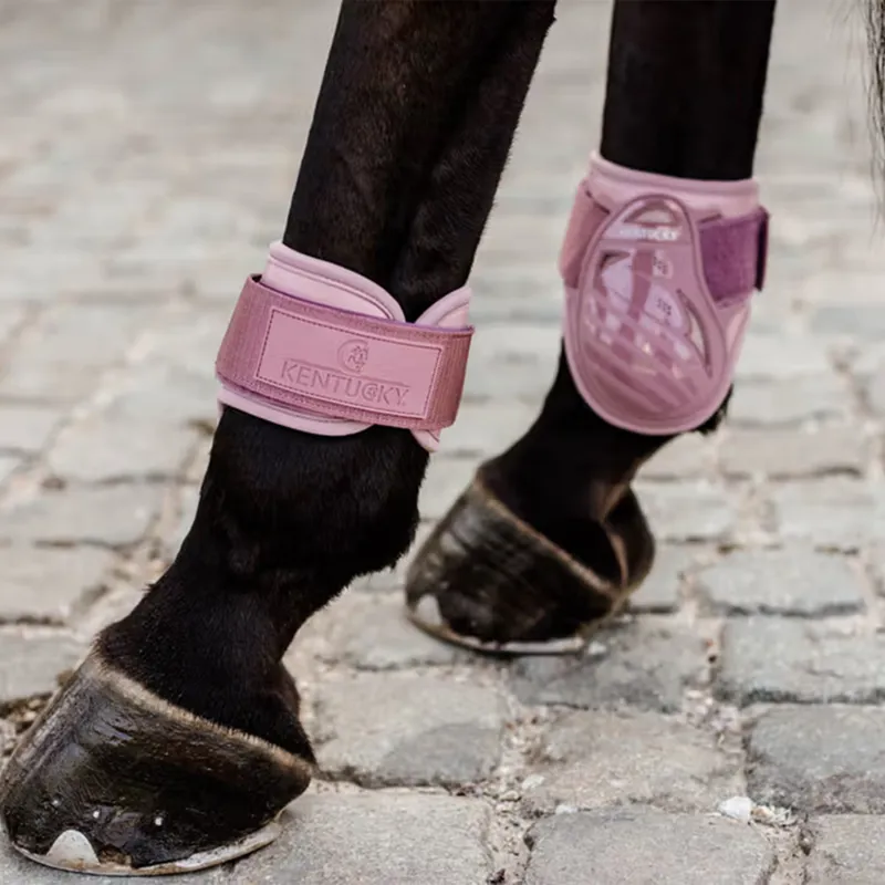Kentucky Young Horse Vented Fetlock Boots - Old Rose-4
