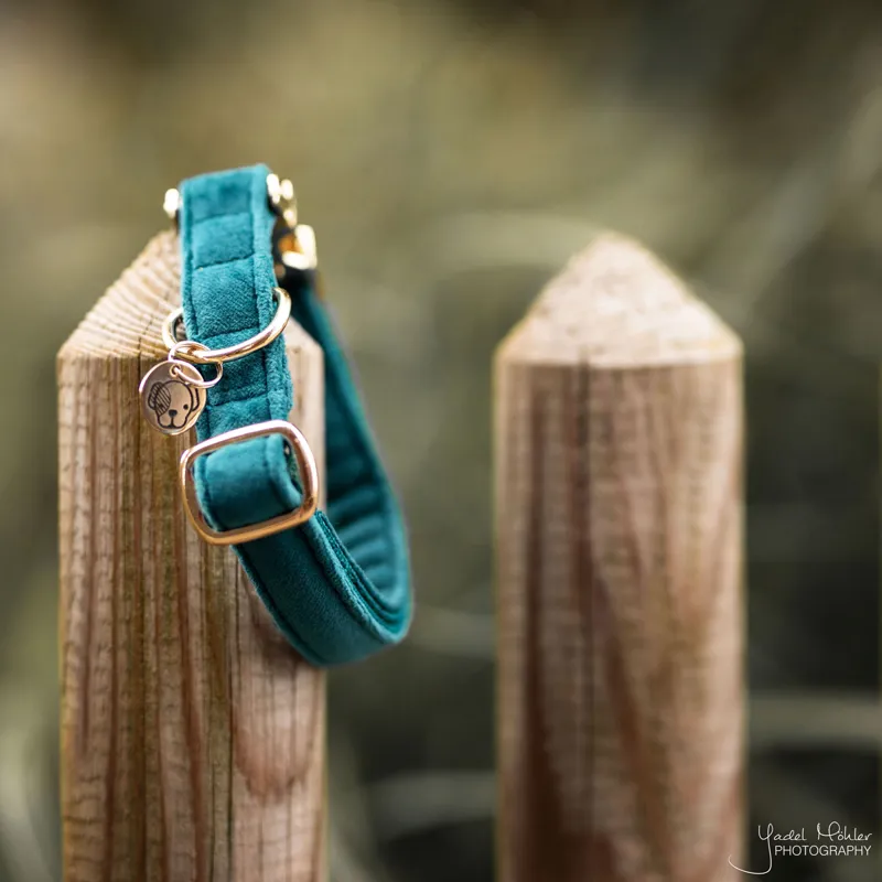 Kentucky Velvet Dog Collar - Emerald-2