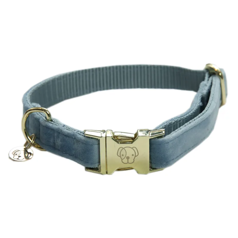 Kentucky Velvet Dog Collar - Light Blue-2