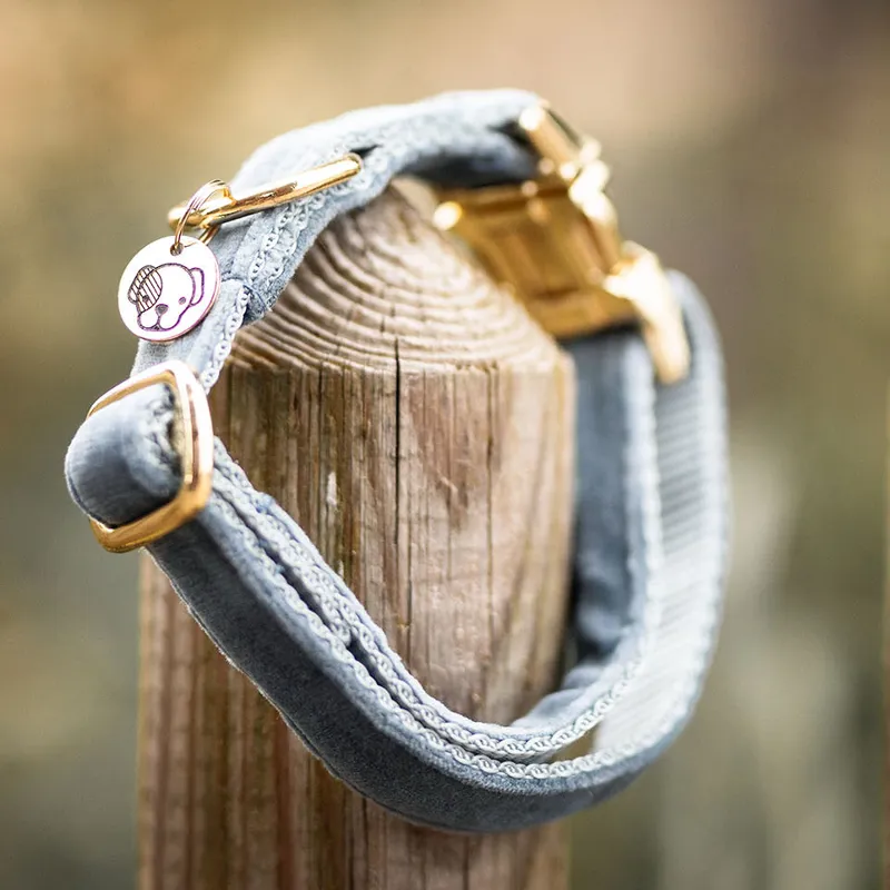 Kentucky Velvet Dog Collar - Light Blue-1