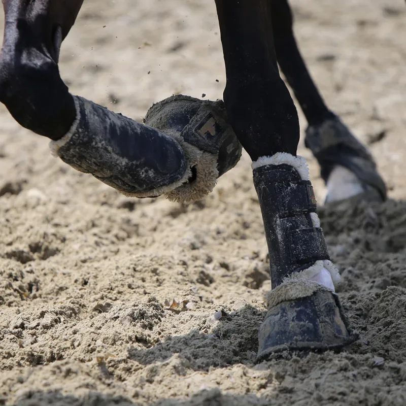 Kentucky Solimbra Brushing Boots - Black-2