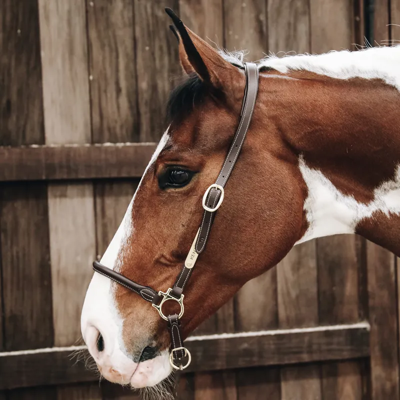 Kentucky Grooming Headcollar - Brown