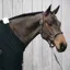 Kentucky Anatomic Artificial Leather Headcollar - Brown
