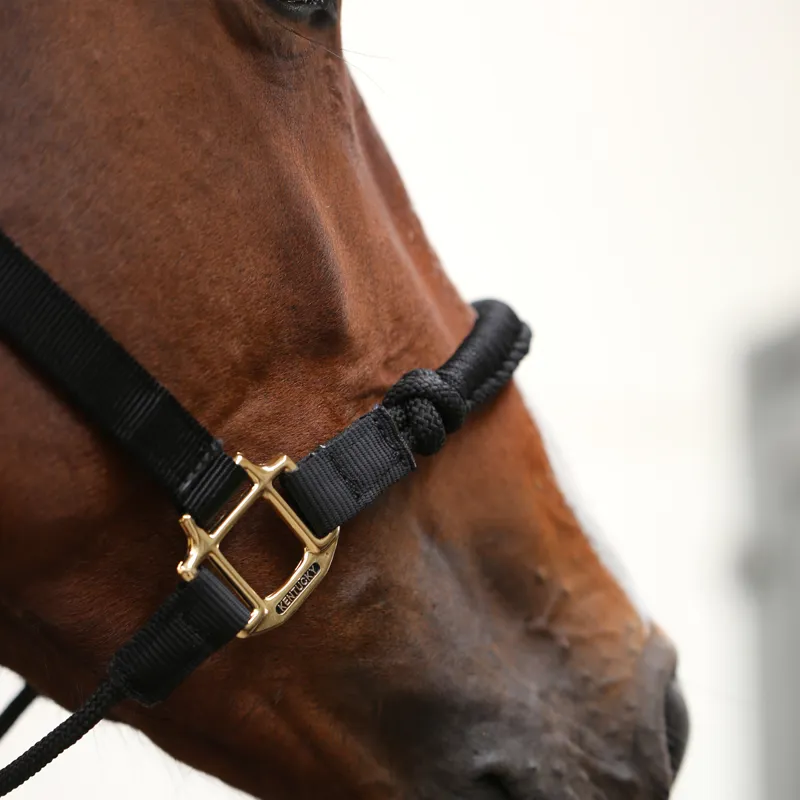 Kentucky Control Headcollar - Black-2