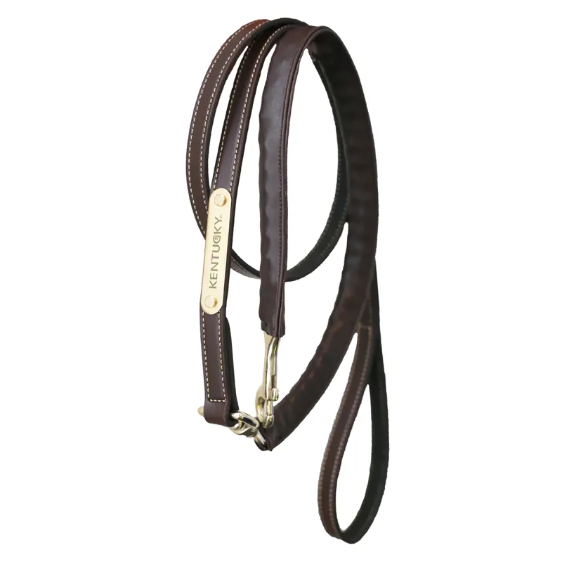 Kentucky Artificial Leather Covered Lead Chain - Brown