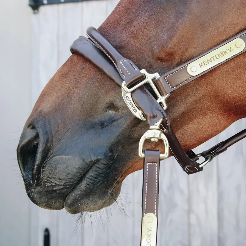 Kentucky Artificial Leather Covered Lead Chain - Brown-1