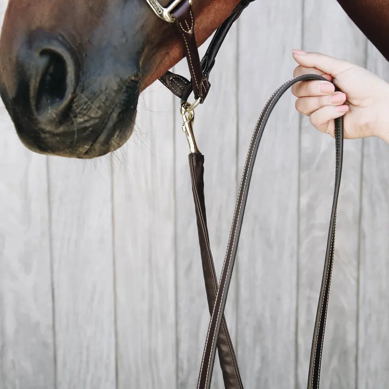 Kentucky Artificial Leather Covered Lead Chain - Brown-3