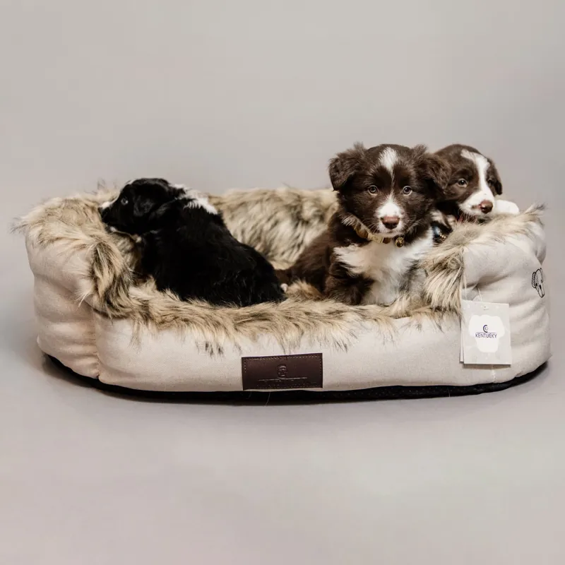 Kentucky Cave Dog Bed