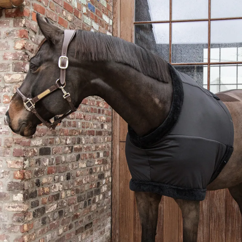 Kentucky Chest Protection Vest - Black-1