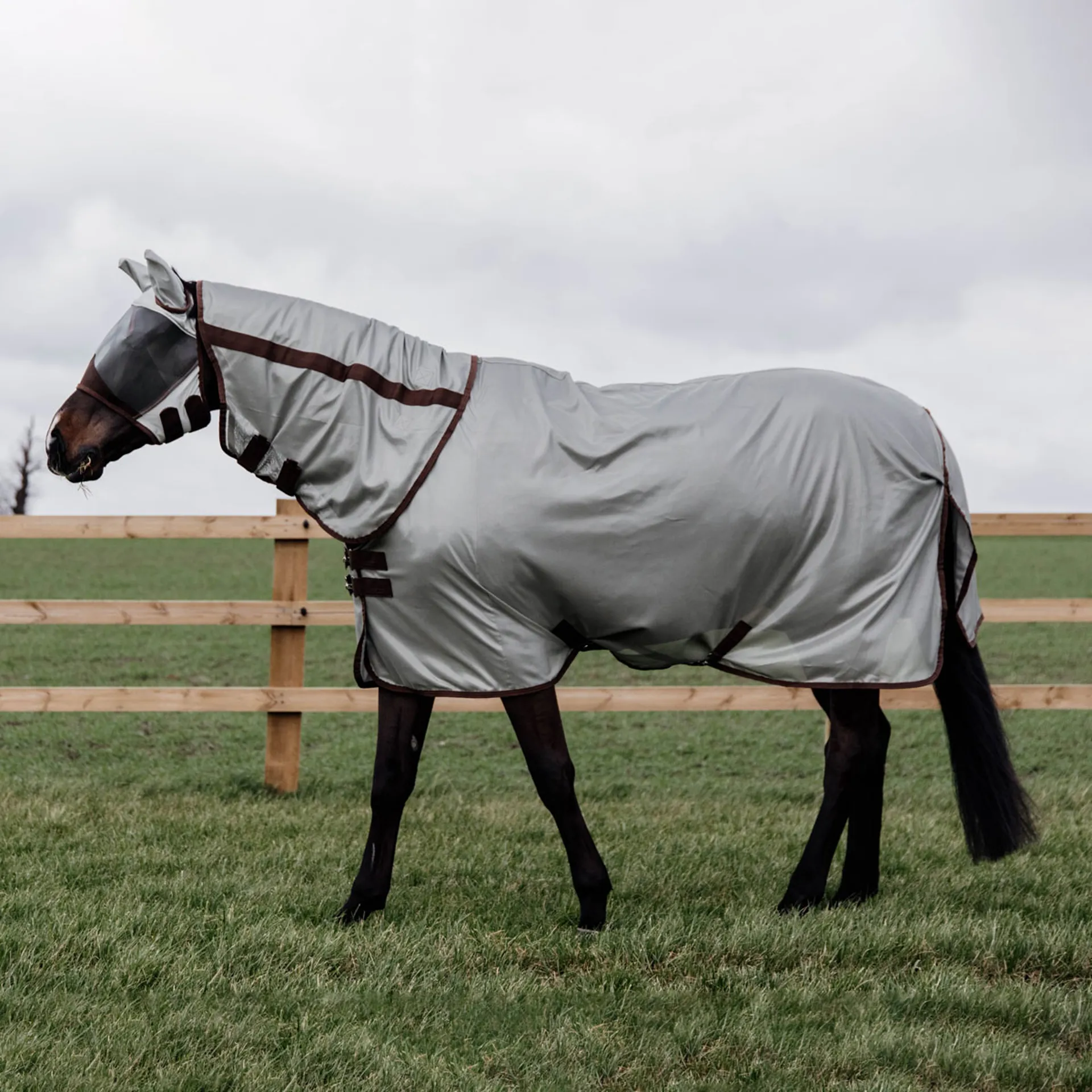 Kentucky Classic Mesh Fly Rug - Silver