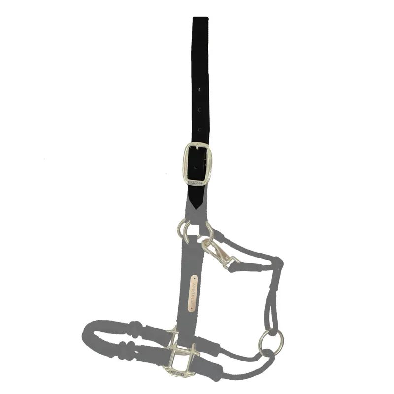 Kentucky Control Headcollar Spare Headpiece - Black