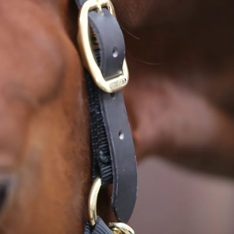 Kentucky Control Headcollar Spare Headpiece - Black-2