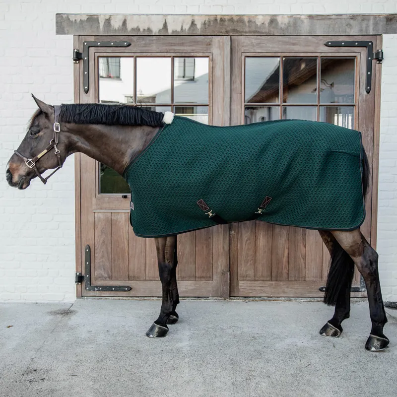 Kentucky 4D Spacer Cooler Rug - Pine Green