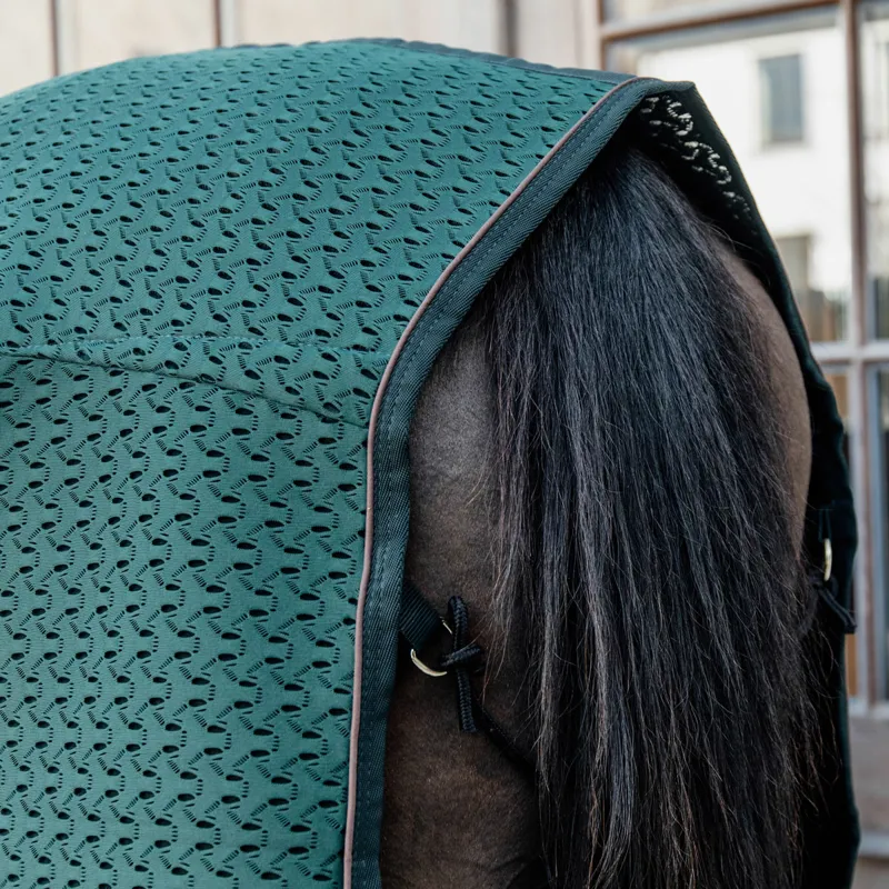 Kentucky 4D Spacer Cooler Rug - Pine Green-3